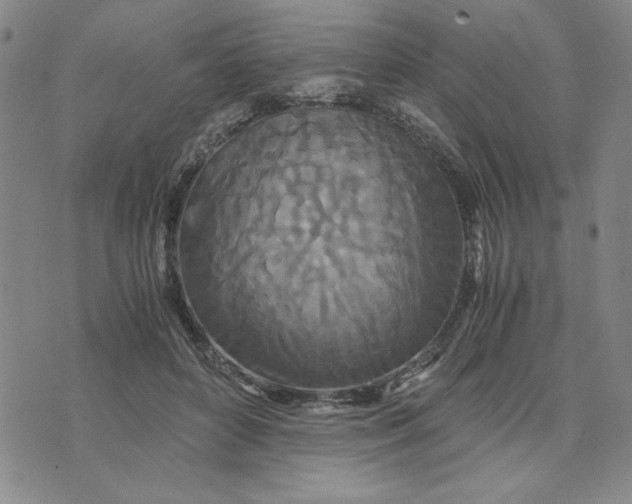 X0000076270504200610191743