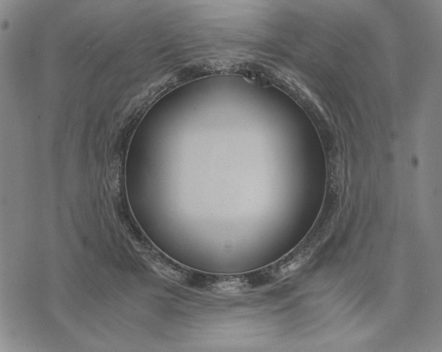 X0000076270505200610191743