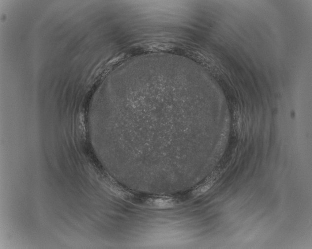 X0000076270506200610191743