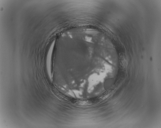 X0000076270507200610191743