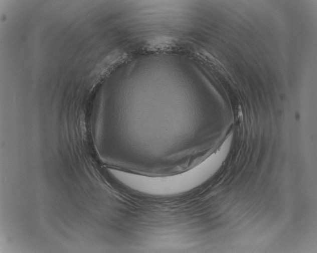 X0000076270508200610191743