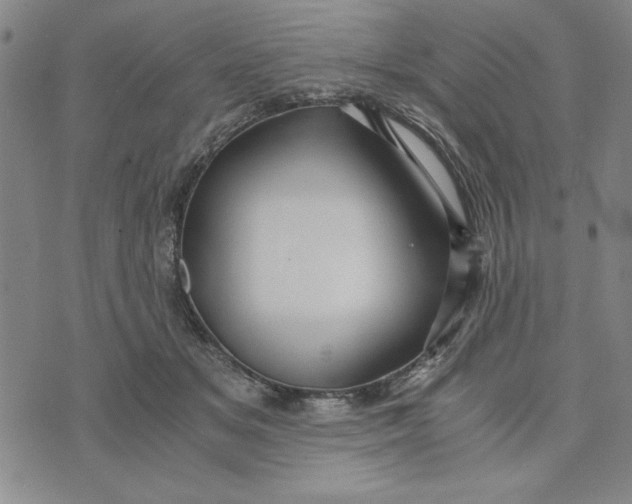 X0000076270509200610191743