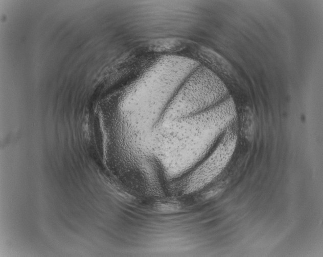 X0000076270510200610191743