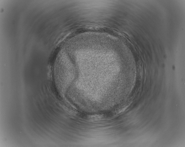 X0000076270511200610191743