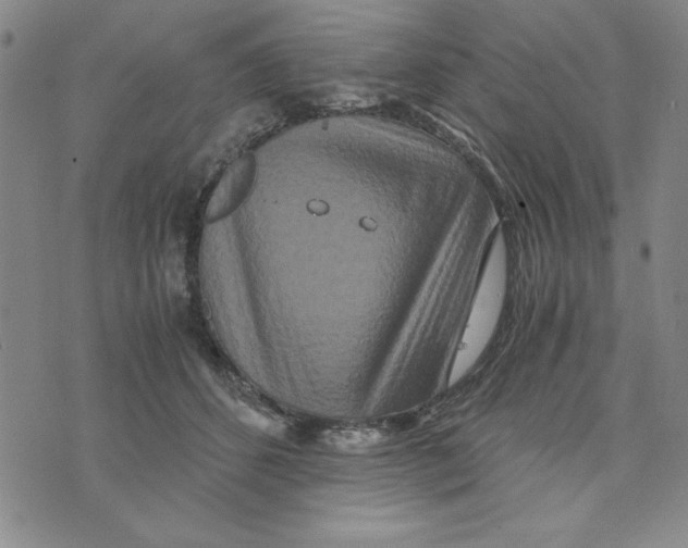 X0000076270512200610191743