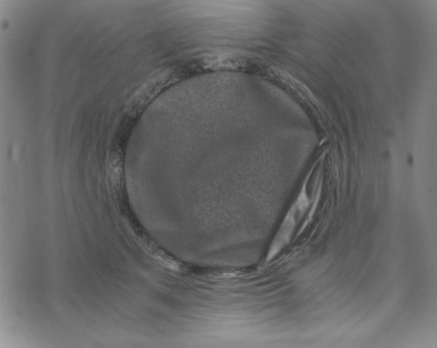 X0000076270513200610191743