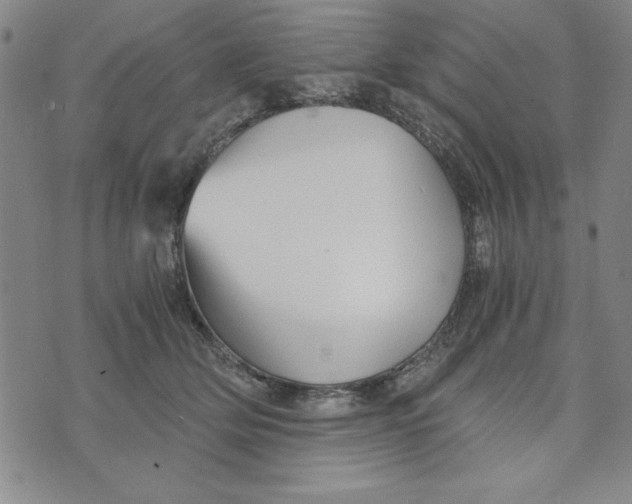 X0000076270514200610191743