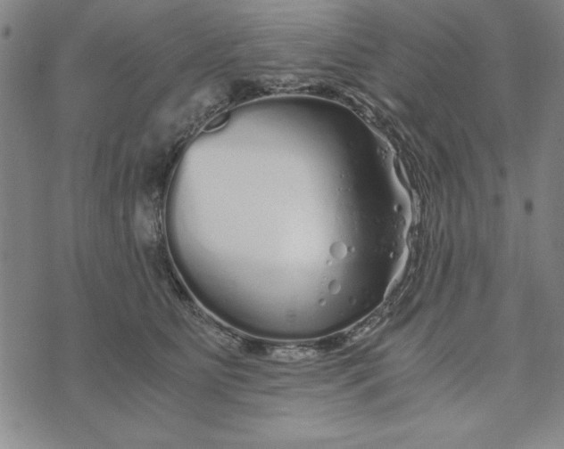 X0000076270515200610191743