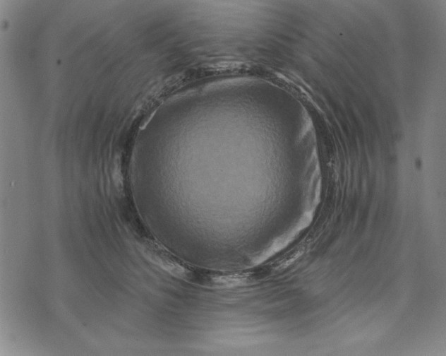 X0000076270516200610191743