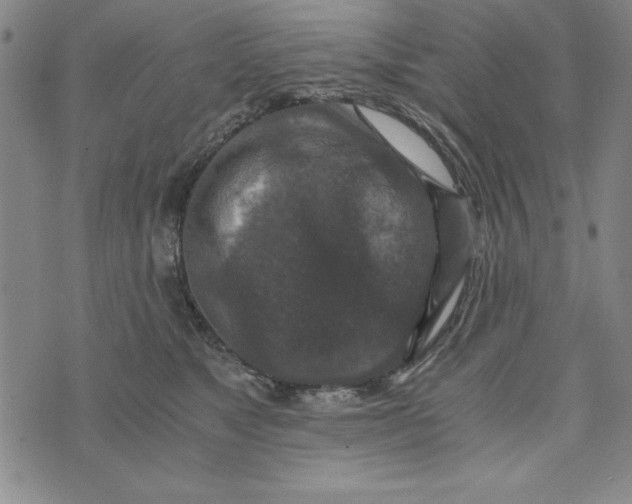 X0000076270517200610191743