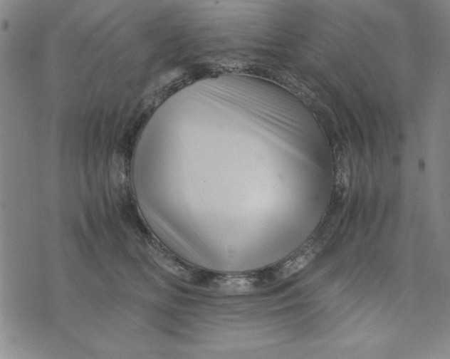 X0000076270518200610191743