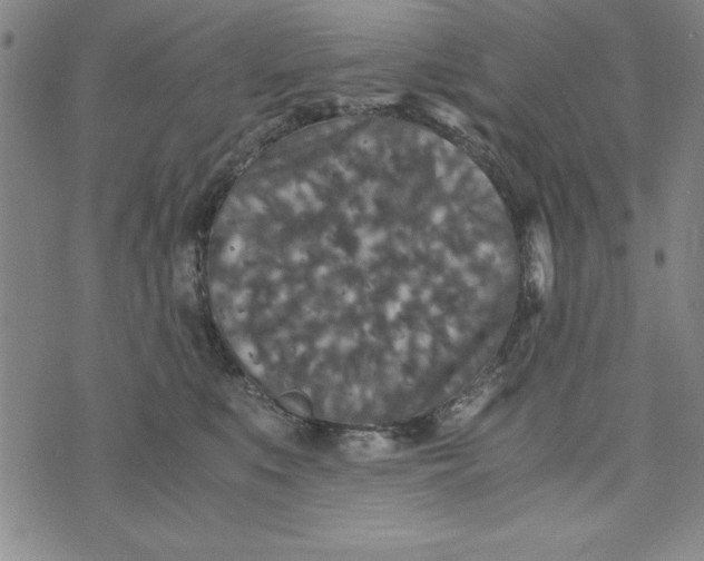 X0000076270519200610191743