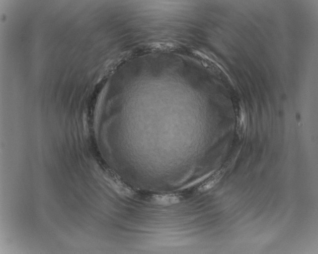 X0000076270520200610191743