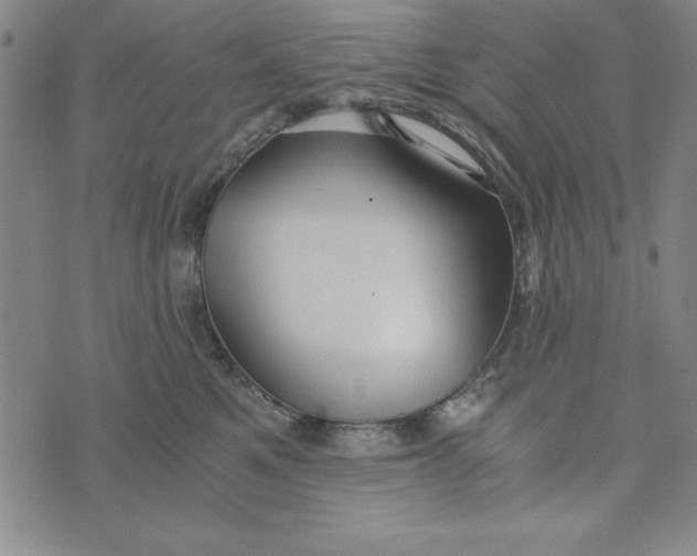 X0000076270521200610191743