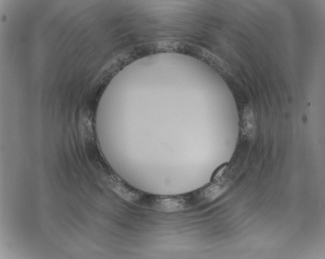 X0000076270522200610191743