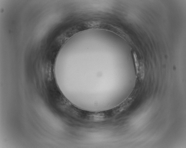 X0000076270525200610191743