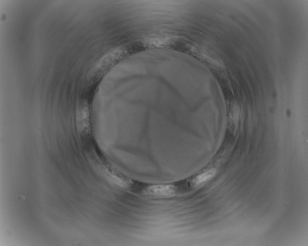 X0000076270526200610191743