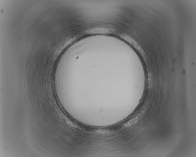 X0000076270529200610191742