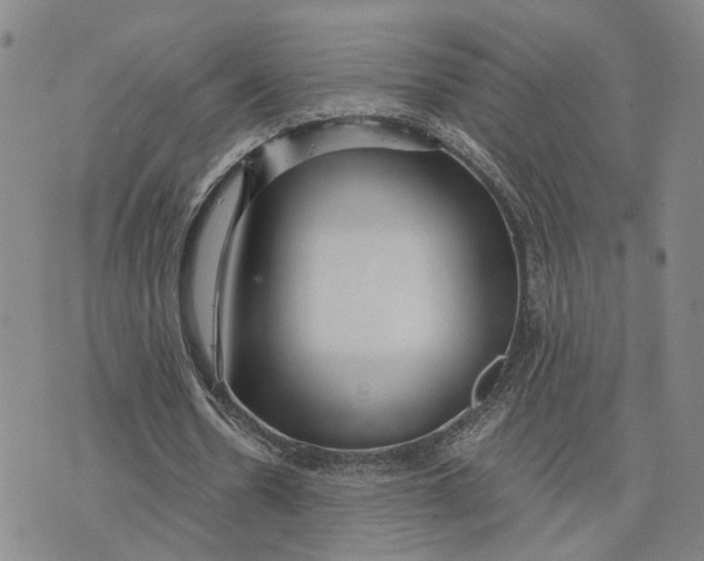 X0000076270530200610191742