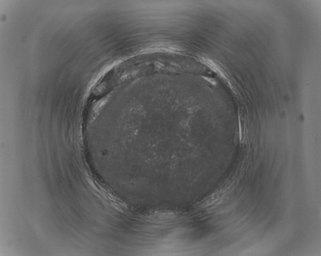 X0000076270531200610191742