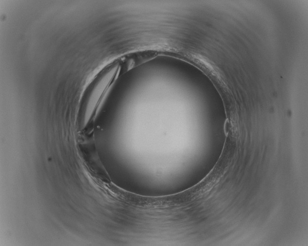 X0000076270532200610191742