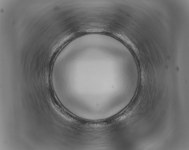 X0000076270533200610191742