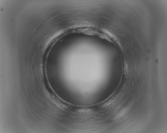 X0000076270535200610191742