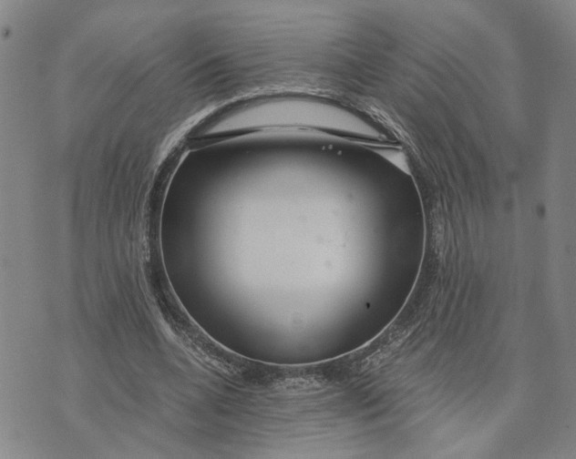 X0000076270536200610191742