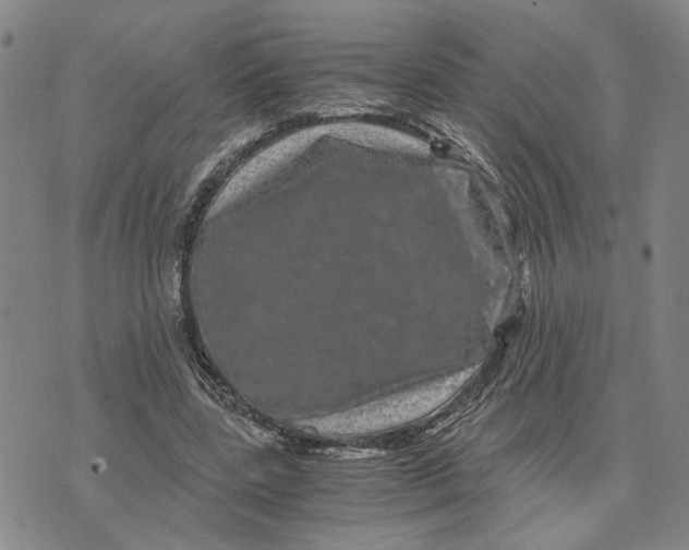 X0000076270539200610191742