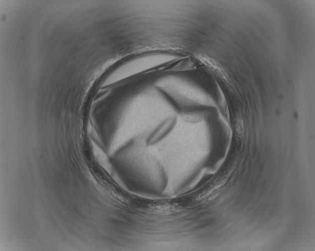 X0000076270540200610191742