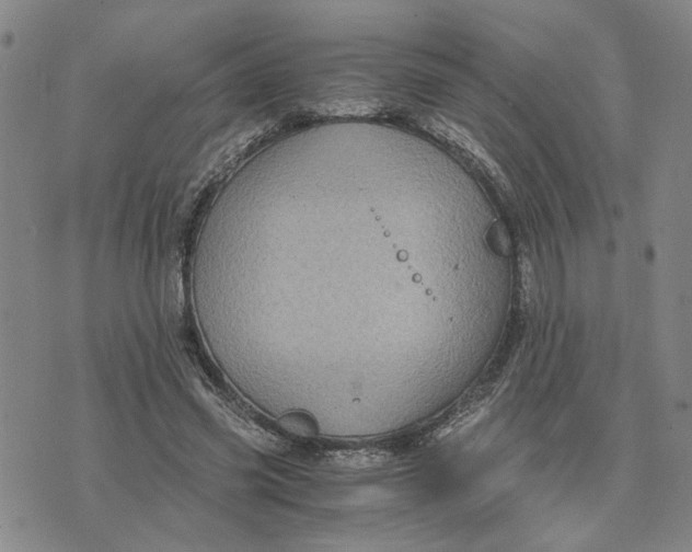 X0000076270541200610191742