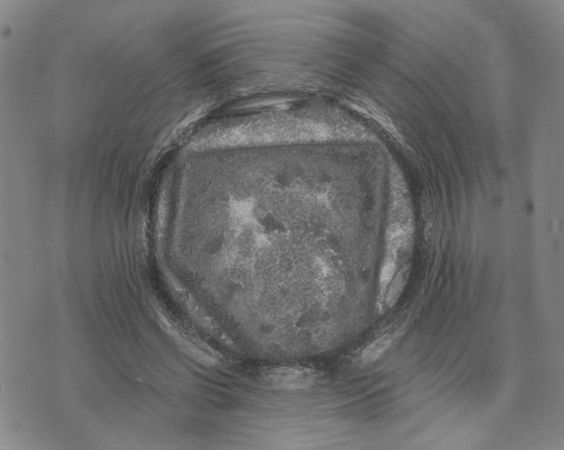 X0000076270542200610191742