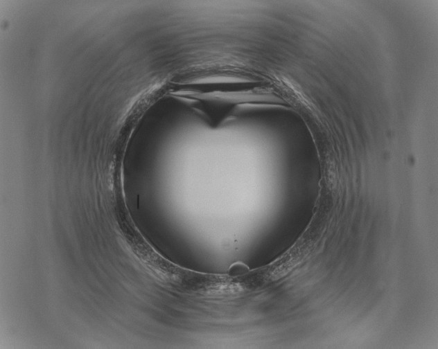 X0000076270543200610191742