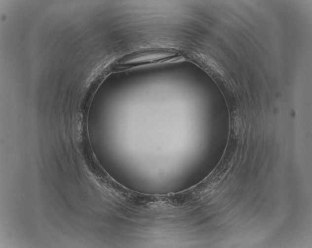 X0000076270544200610191742