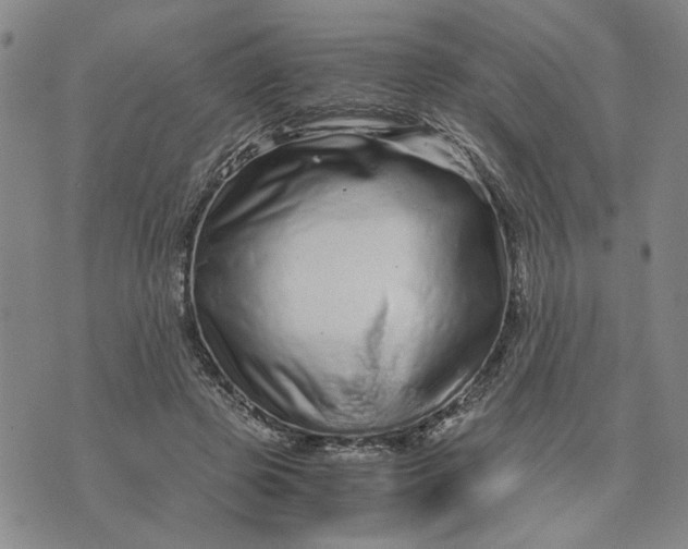 X0000076270545200610191742