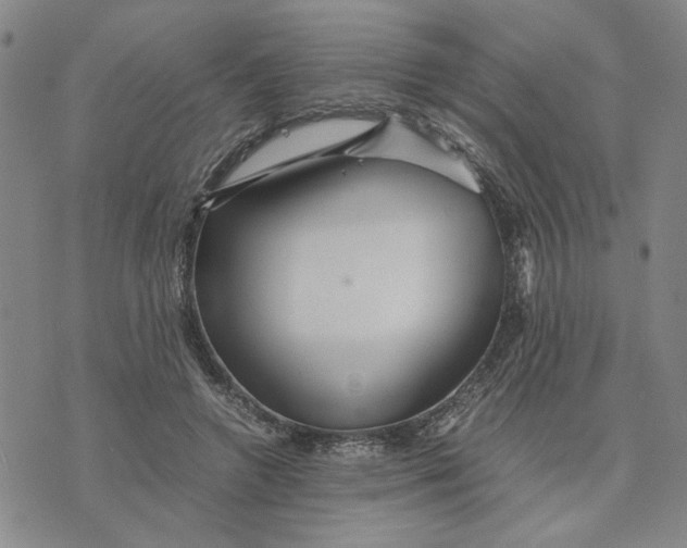 X0000076270546200610191742