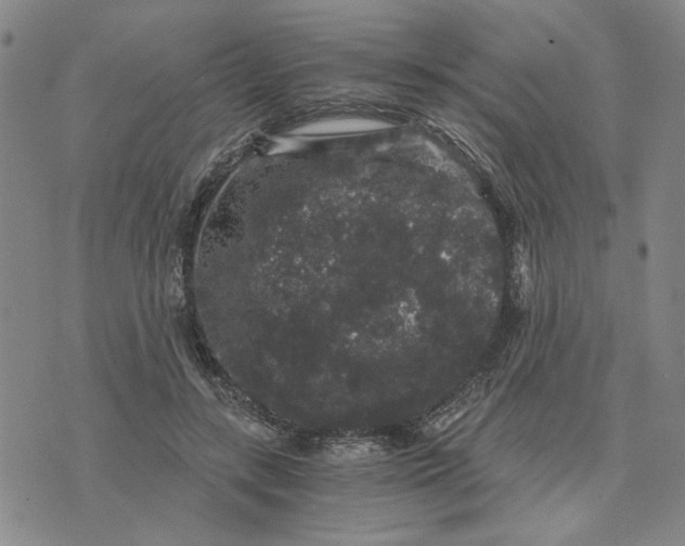 X0000076270547200610191742