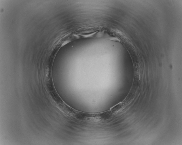 X0000076270548200610191742