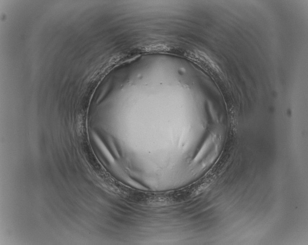 X0000076270549200610191742