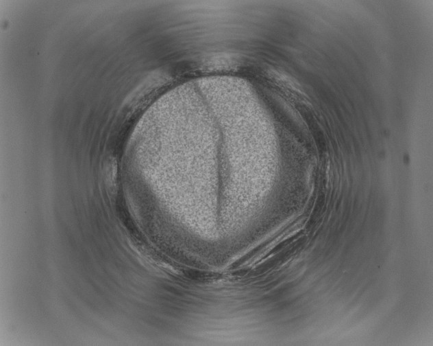 X0000076270550200610191742