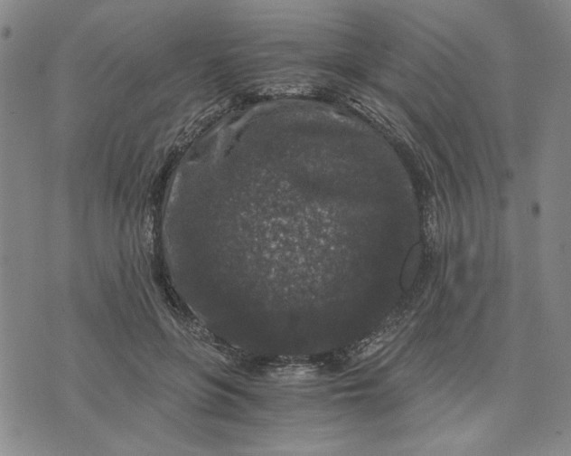 X0000076270551200610191742