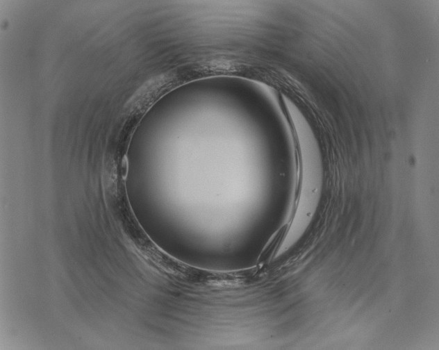 X0000076270552200610191742