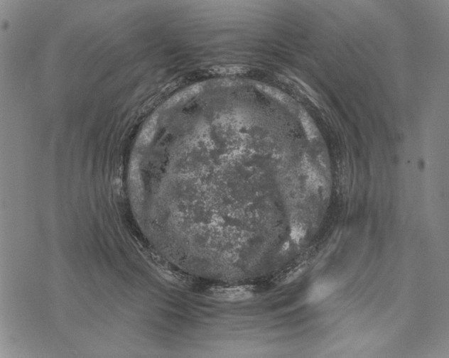 X0000076270553200610191742