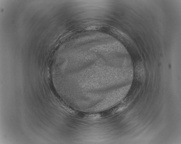 X0000076270554200610191742