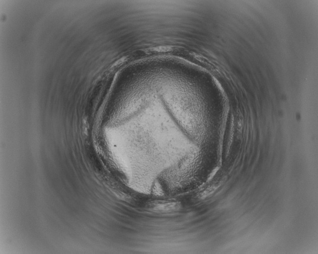 X0000076270555200610191742