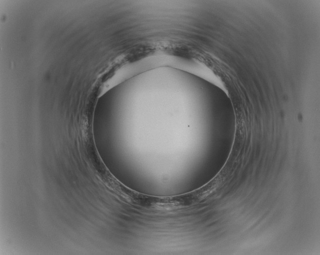 X0000076270556200610191742