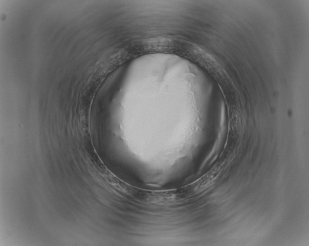 X0000076270557200610191742