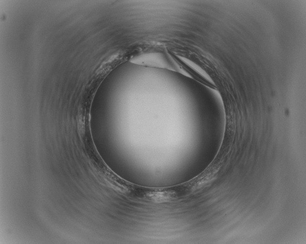 X0000076270558200610191742