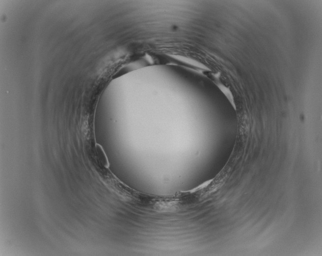 X0000076270560200610191742