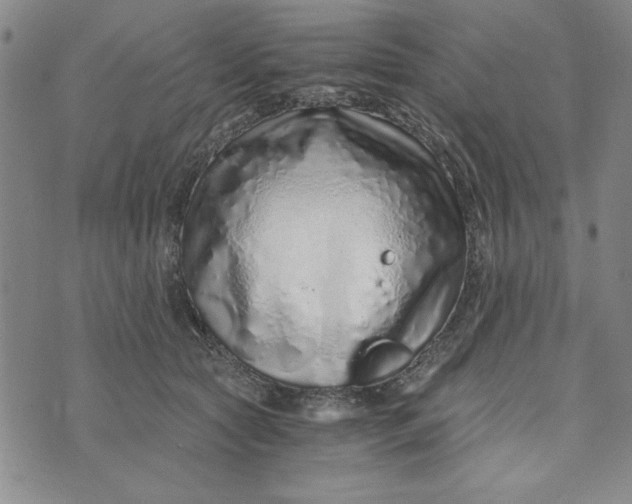 X0000076270561200610191742